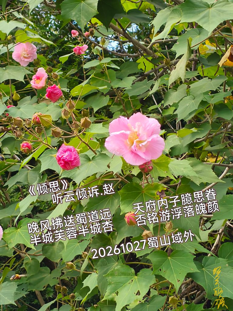 20261027214826front2_0_7607032_FoRQU_P8cVJS7Hc1S01-Op9Vk3Ni.jpg