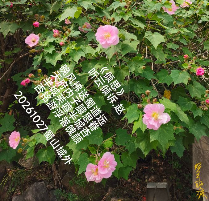 20261027214826front2_0_7607032_FsH27hVR-997UaS8ihY4OStKb_1d.jpg