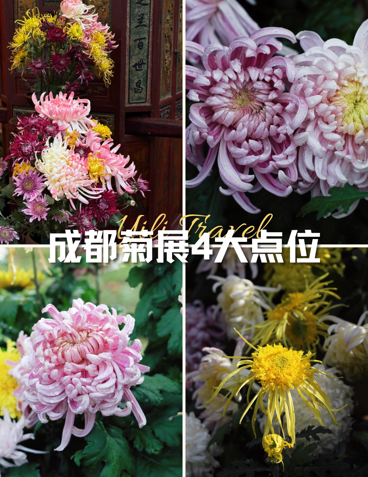 image_1.png