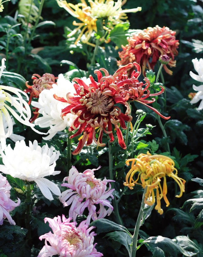 image_3.png
