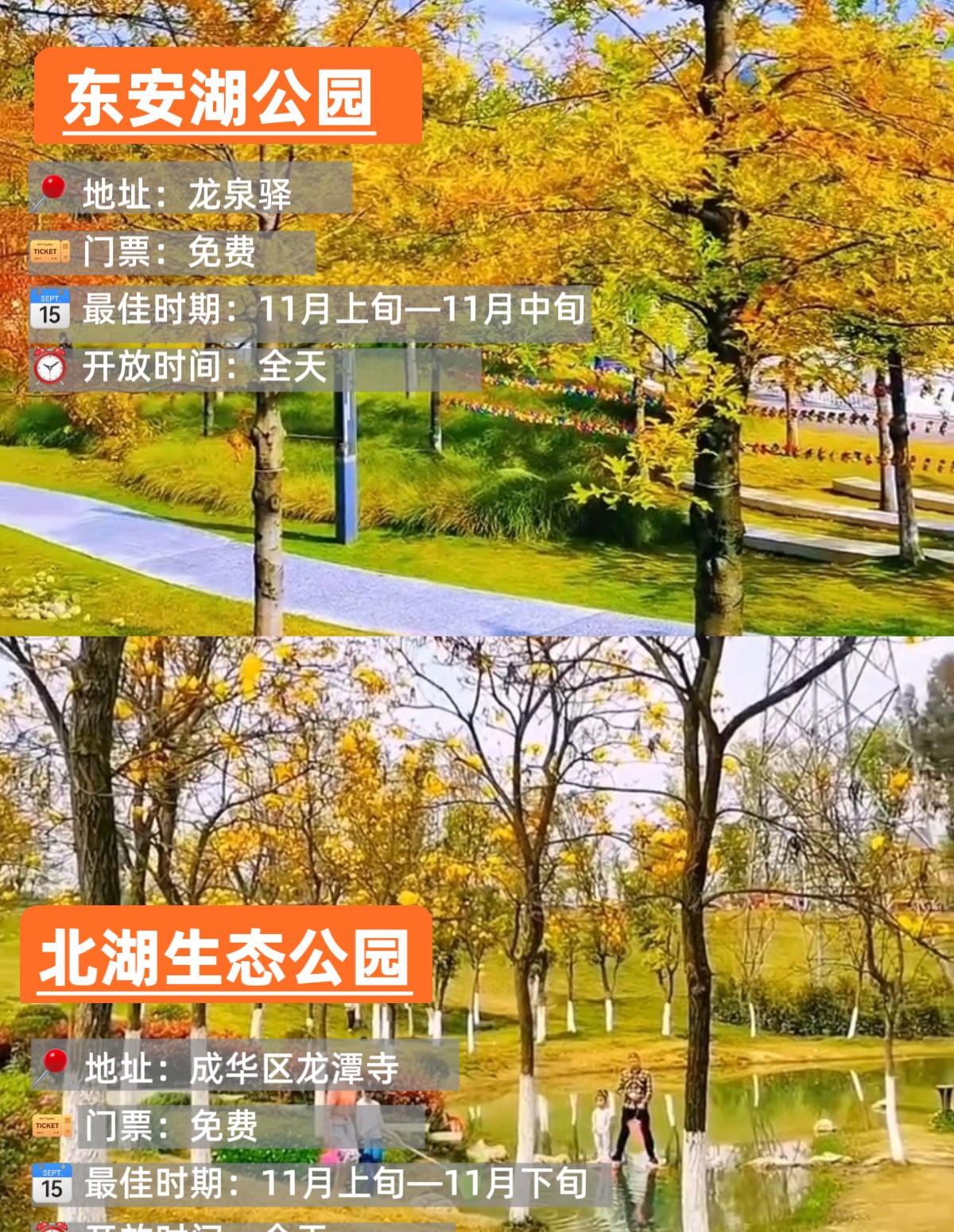 image_2.png