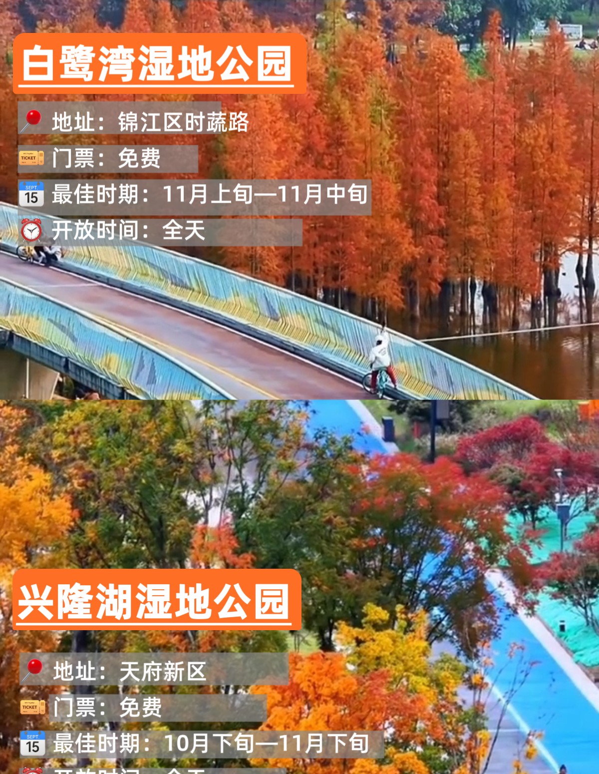 image_4.png