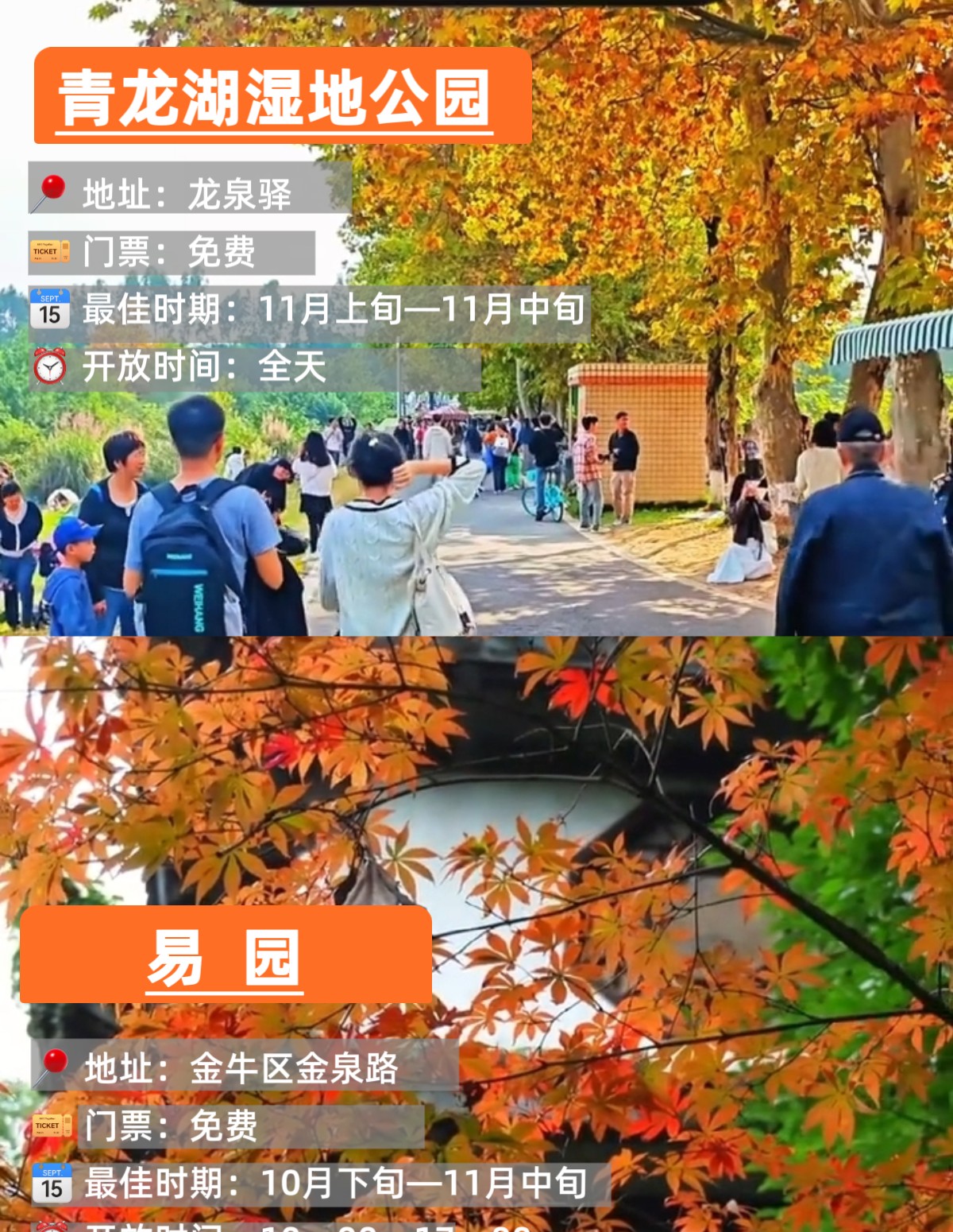 image_3.png