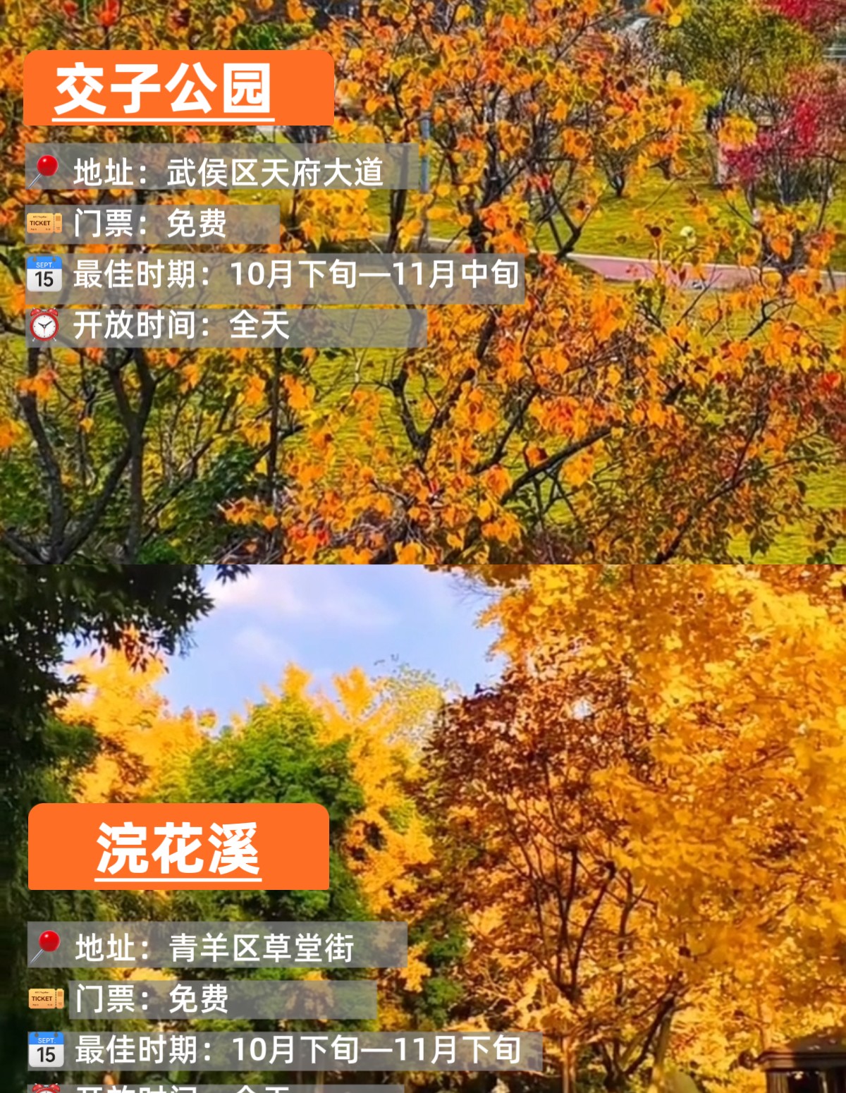 image_5.png