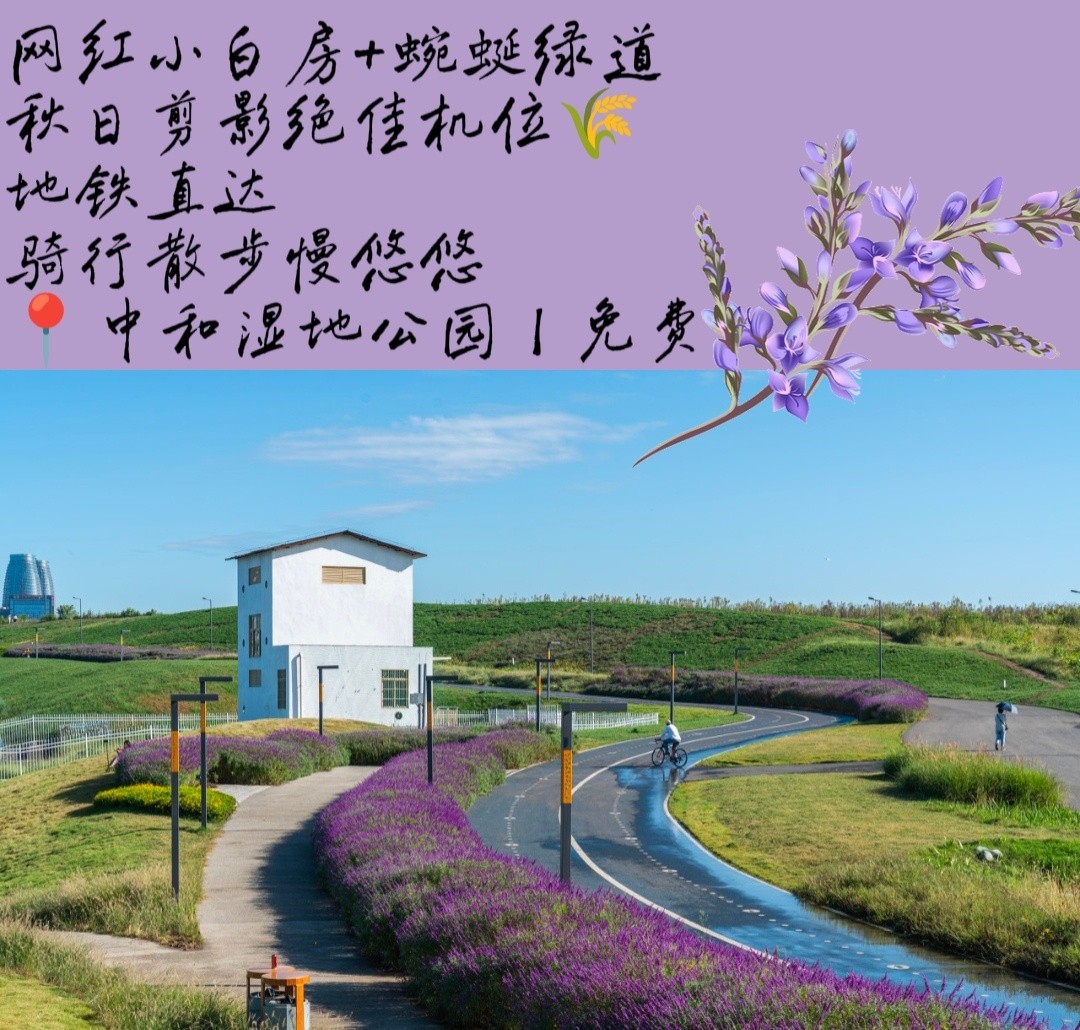 image_7.jpg