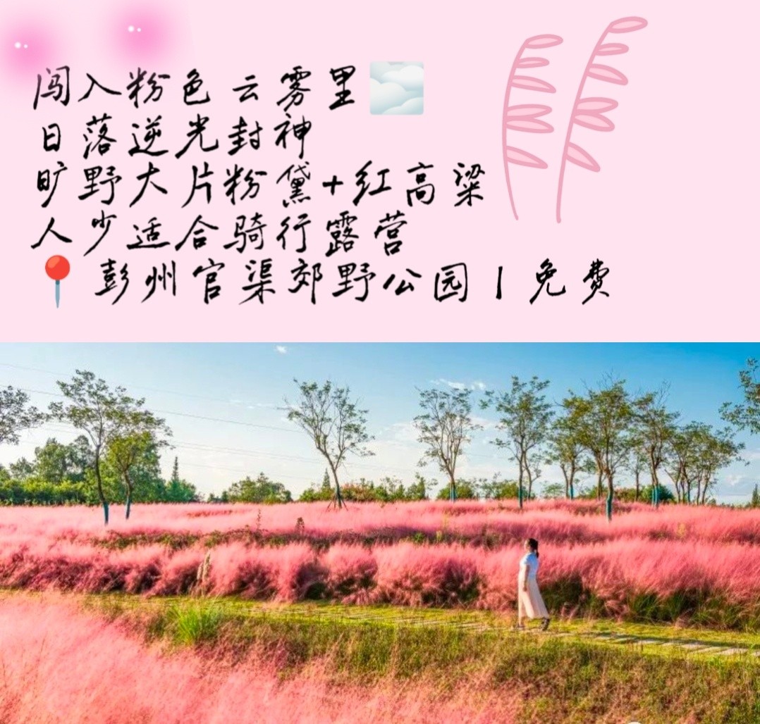 image_6.jpg