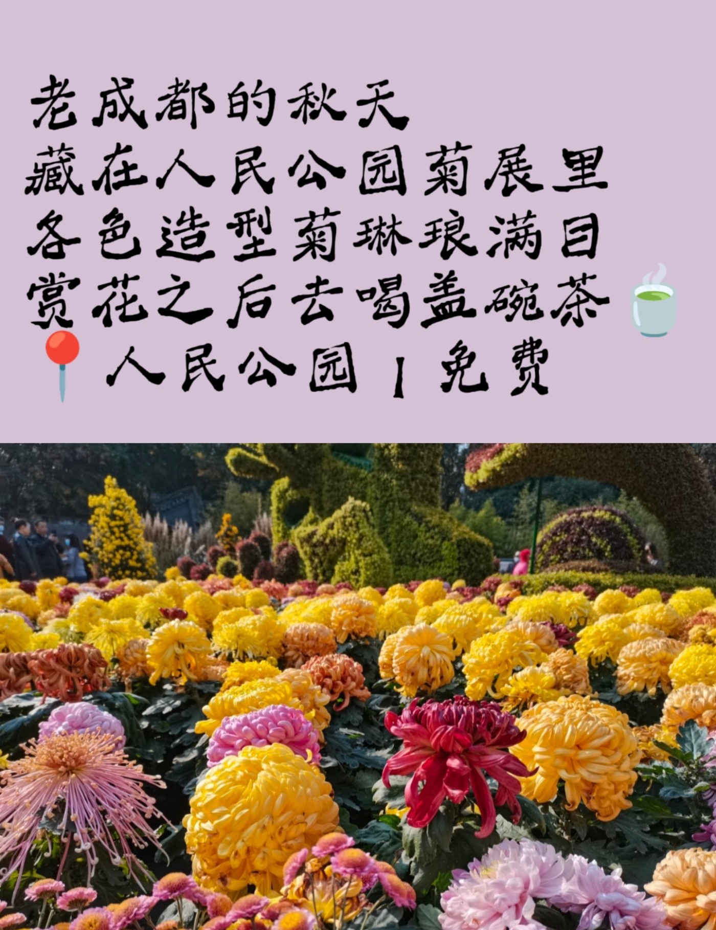 image_5.jpg