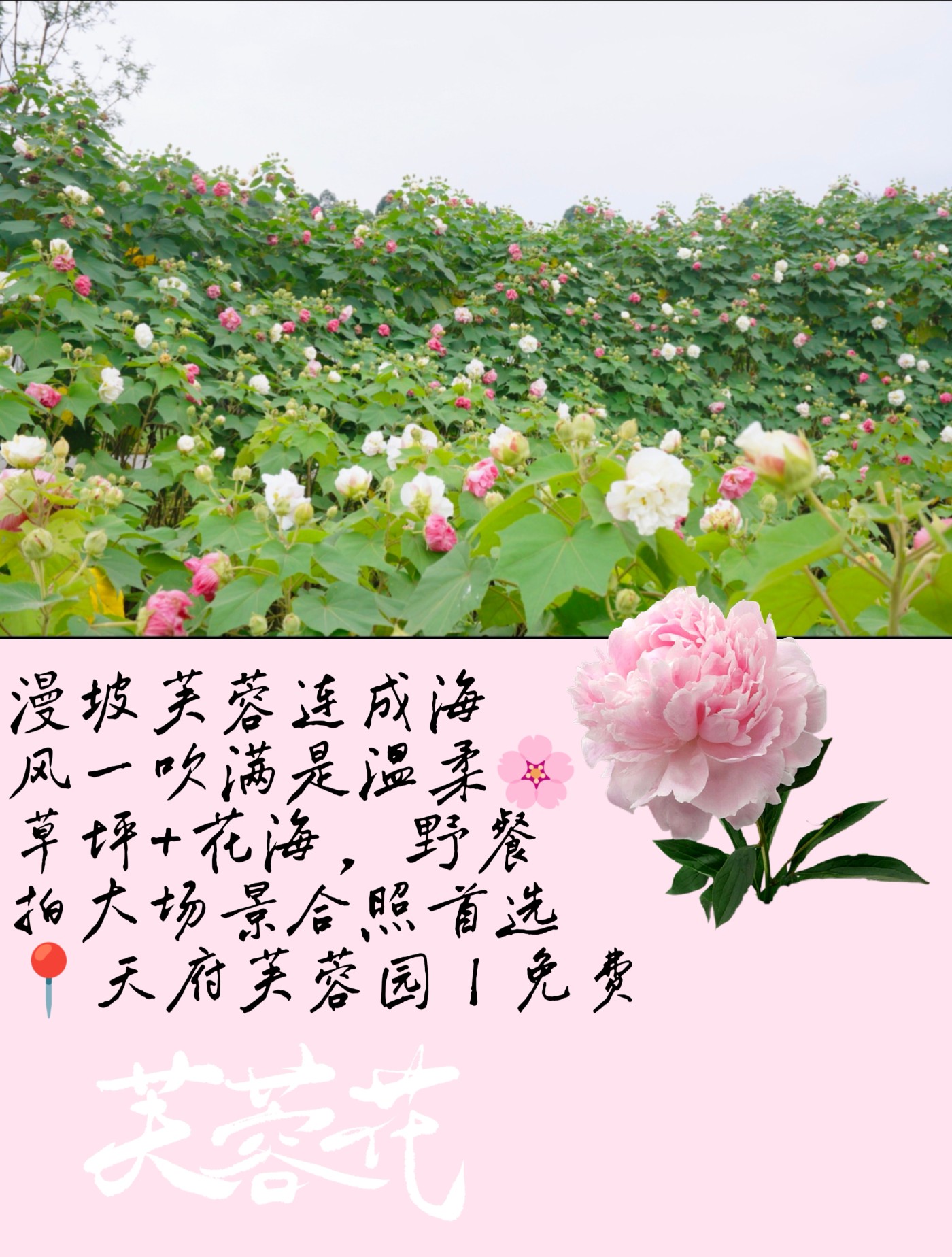 image_3.jpg