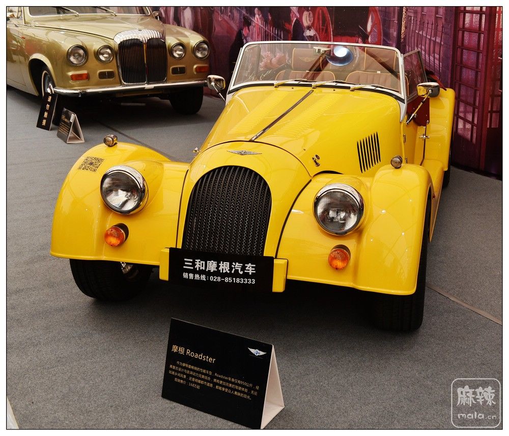 DSC_7381.jpg