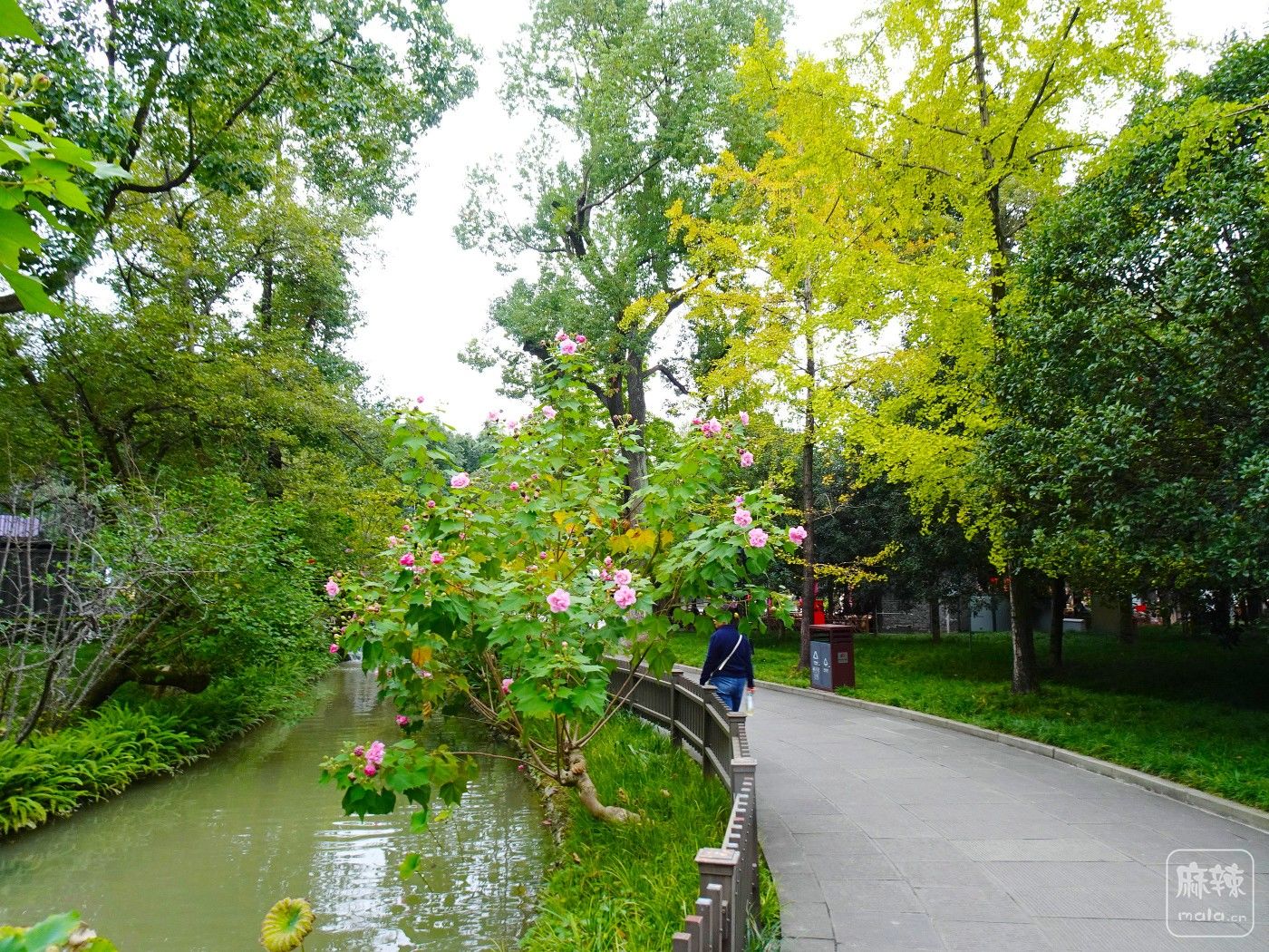 DSC00555.JPG