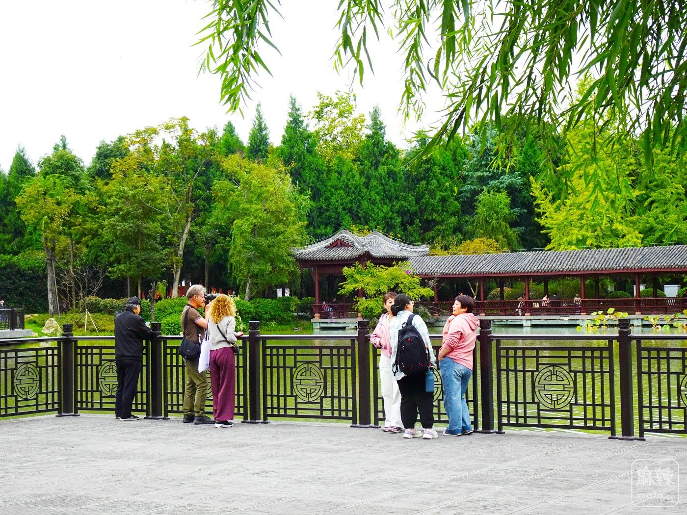 DSC00532.JPG