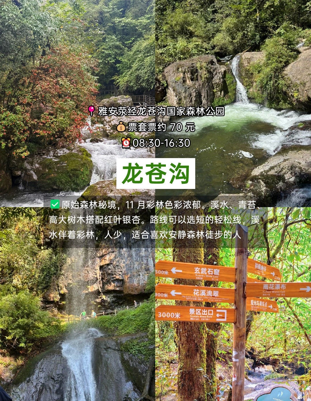 image_3.jpg