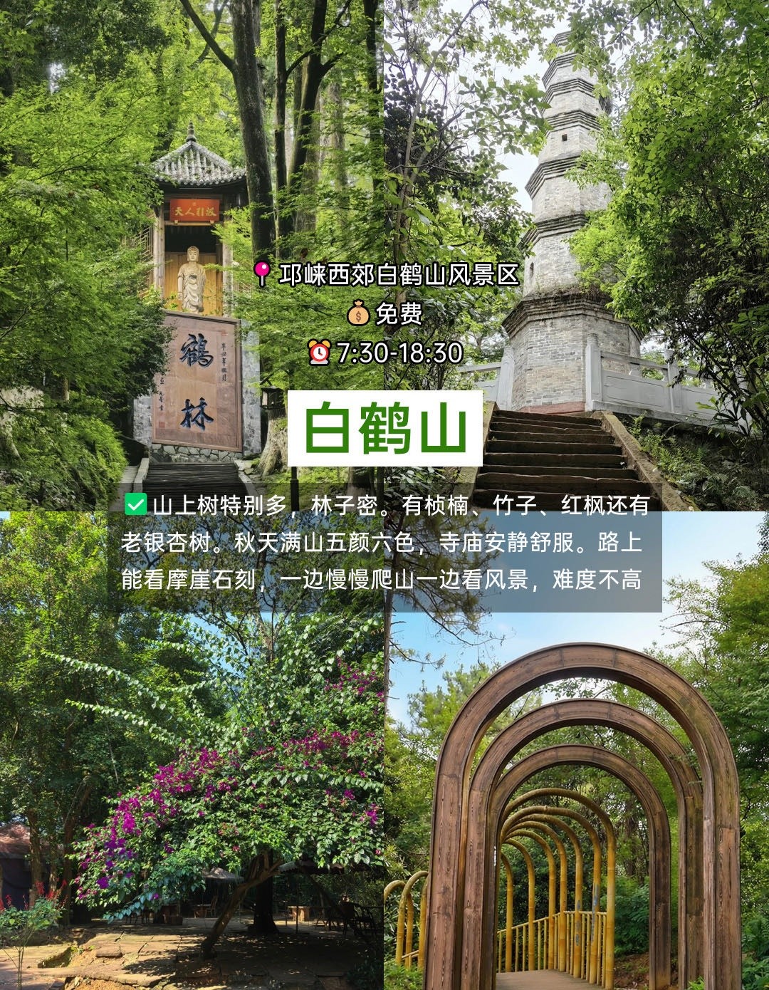 image_7.jpg