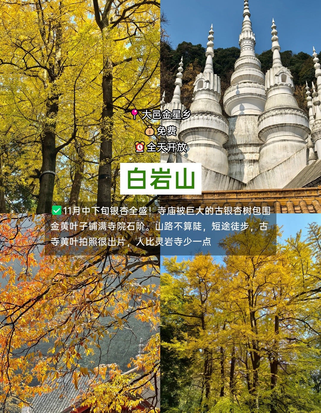image_5.jpg