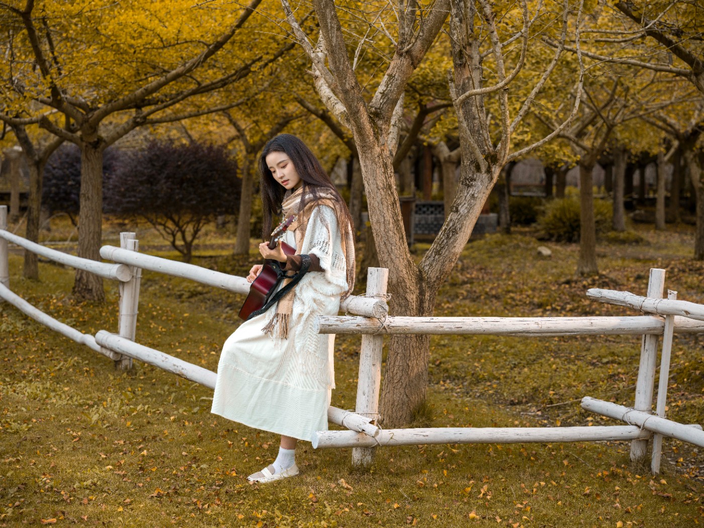 B0004930 ����.jpg