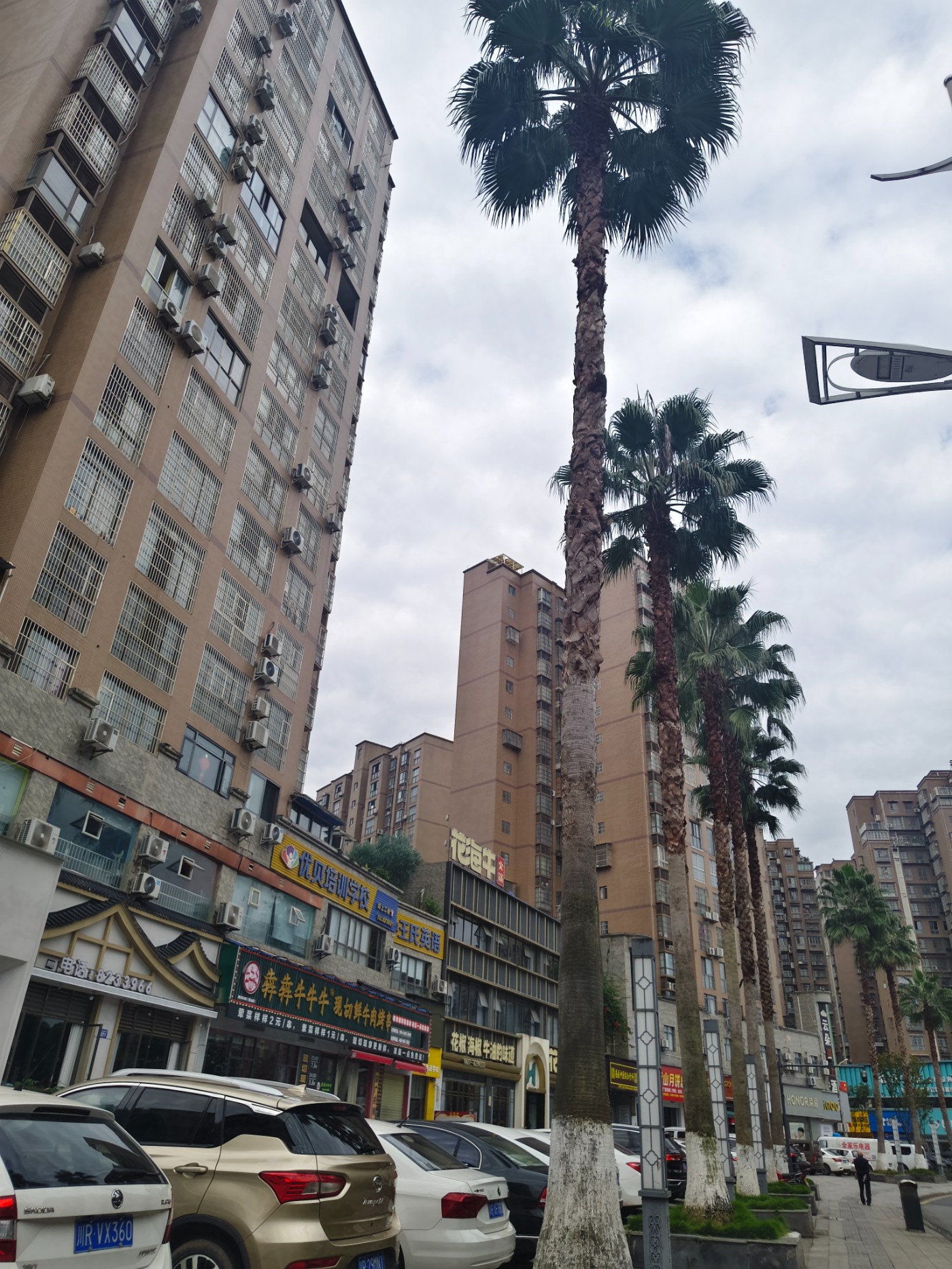IMG_20261022_144325.jpg