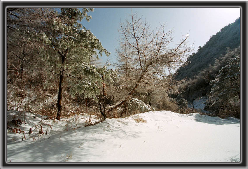 北国风光——陈家山