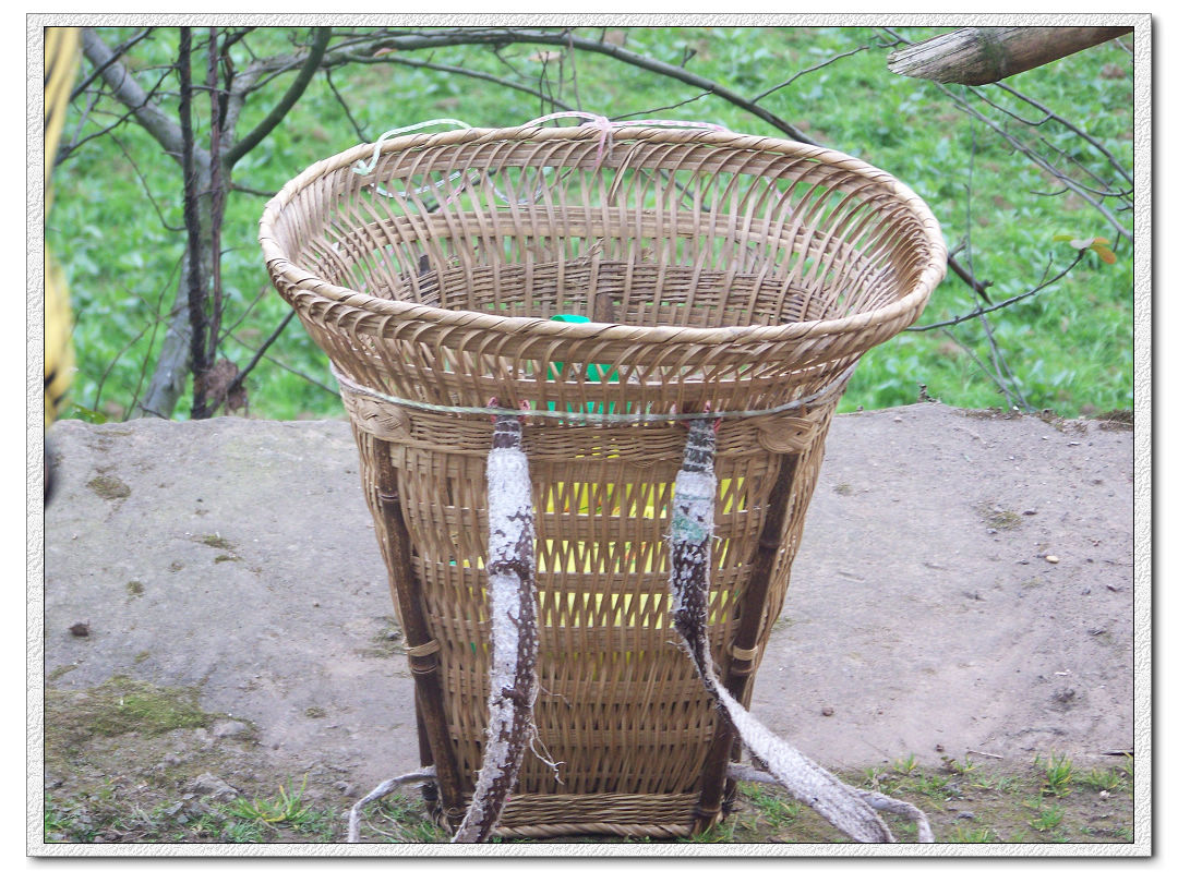 我那鲜艳欲滴的童年(附一些图片,保证勾起大家的童年记忆)-巴中论坛