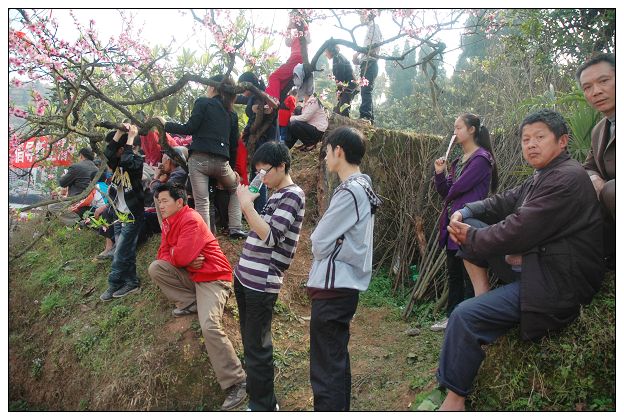 2010年3月20日蓬安河舒桃花节开幕式上一美女在烈火中永生(照片为证)