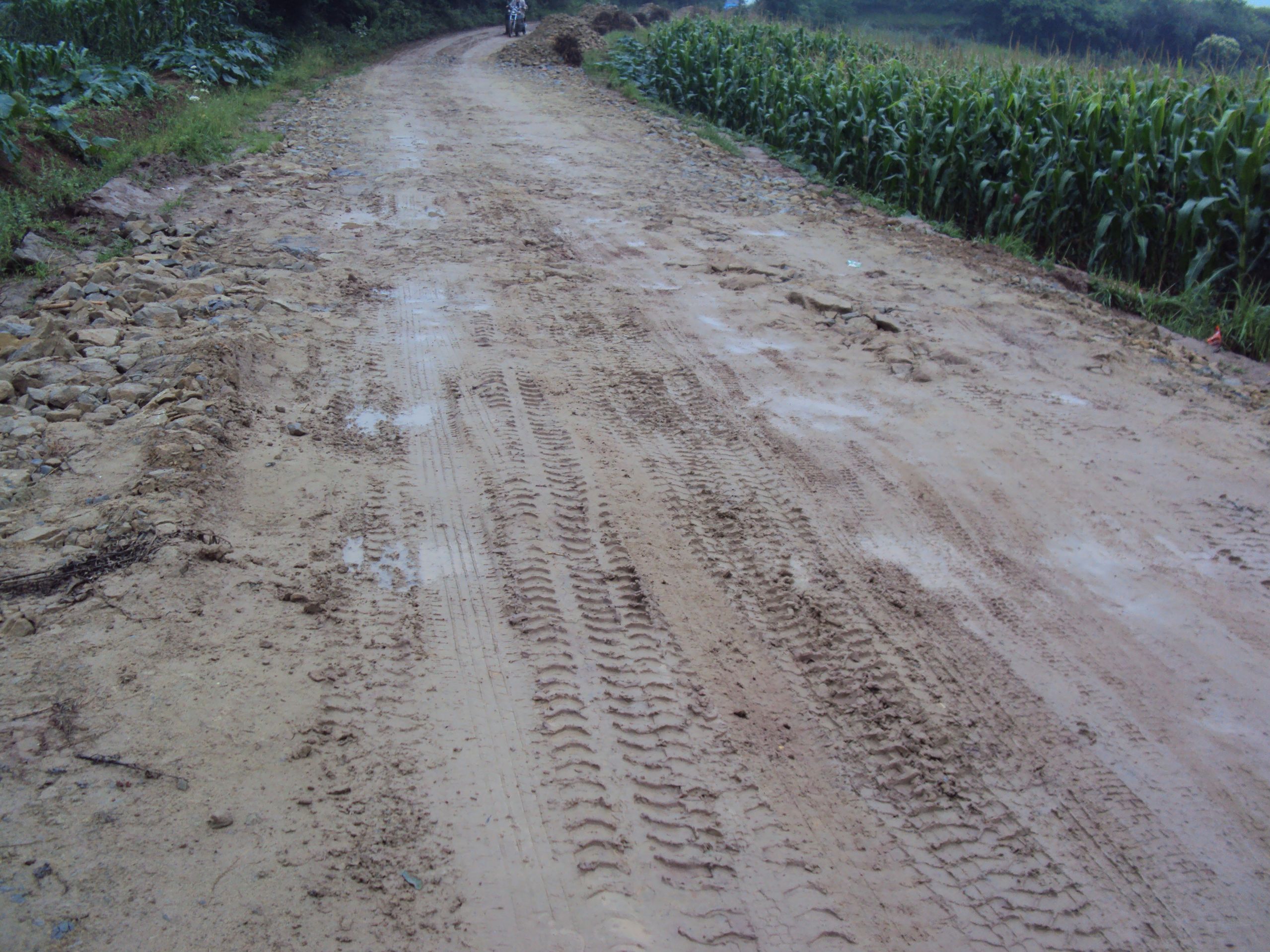 一下雨就变成黄泥路了,怎能铺油路?jpg