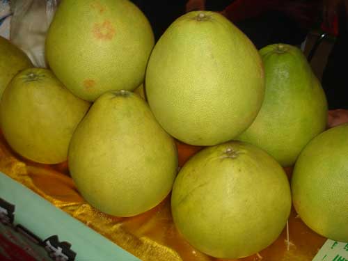 安岳特产之通贤柚