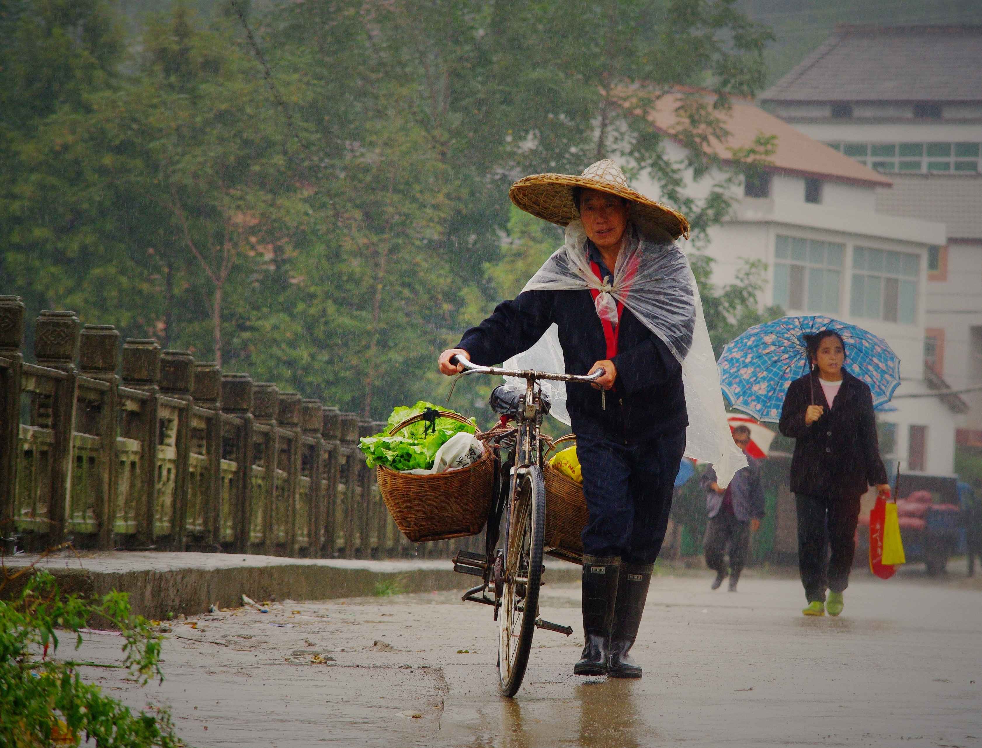 看——小鎮雨中趕場 感——男女老少百態人生