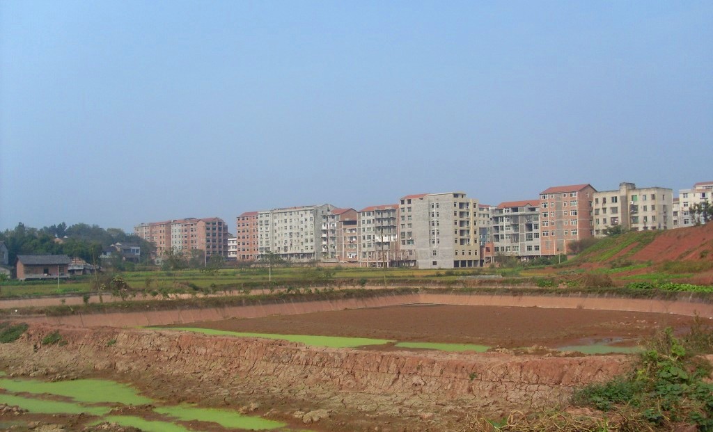 周礼镇粉城大道西段远眺-安岳论坛-麻辣社区 四川第