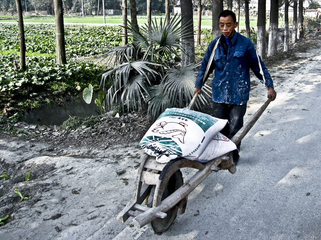 [原创]又见鸡公车-麻辣学院-麻辣社区 四川第一网络社区 你的言论