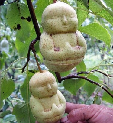 动听的旋律,秀美的风光,不错的视频[空山]