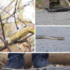 ������Ⱥ�ᴩ��·������ֻ� ר�ҳ�Ѱ��Խ����